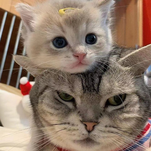 台湾性做爰伦理小敏
